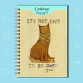 Cuaderno Docente – Cat God